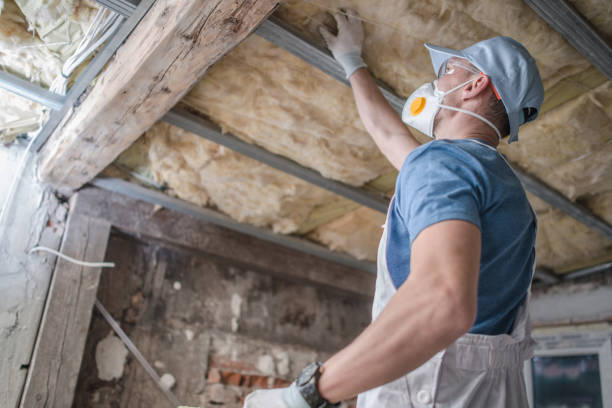 Best Professional Insulation Contractor  in North Belle Vernon, PA