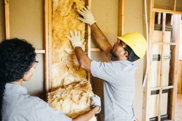 Best Local Insulation Services  in North Belle Vernon, PA