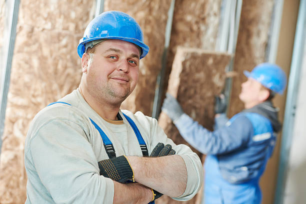 Best Insulation Removal  in North Belle Vernon, PA